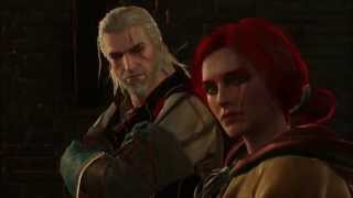 Witcher 3 Wild Hunt First Intimate Conversation Dialogue with Triss Merigold [upl. by Zeiler406]