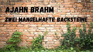 Zwei mangelhafte Backsteine  buddhistische Kurzgeschichte von Ajahn Brahm [upl. by Drusie]