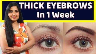 GROW THICK EYEBROWS IN 1 WEEK  My Secret Ingredient  Thick Eyebrows Naturally  Eyebrows [upl. by Koffman187]