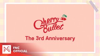 Cherry Bullet 3rd Anniversary Teaser [upl. by Diane-Marie]