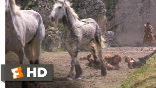 Krull 78 Movie CLIP  Breaking in the Fire Mares 1983 HD [upl. by Ateikan]