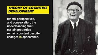 Top 10 Points About The Piagets Theory Of Cognitive Development [upl. by Dallman]