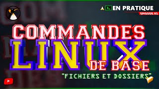 Commandes Linux de Base  Chapitre 2  Fichiers et Dossiers [upl. by Lole]