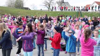 Dansens dager  Spjelkavik barneskole 2014 [upl. by Bergeman]