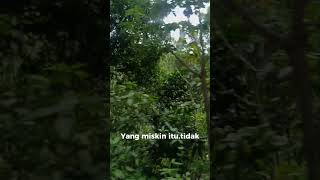 BERSYUKUR viralvideo shortvideo katakatabijak trending [upl. by Nilats]