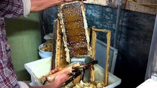 How To Make Honey [upl. by Leorsiy]