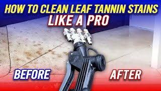 How to clean leaf tannin stains like a pro [upl. by Reichert]