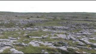 The Burren [upl. by Hartzell]