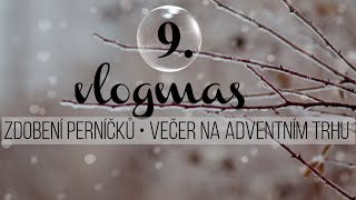 VLOGMAS 9  Tip na zdobení perníčků a večer na adventním trhu 🤍 [upl. by Airegin90]