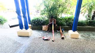 Dude playing a didgeridoo at Kuranda Australia [upl. by Ursulette117]