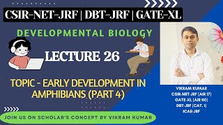 Early Development in Amphibians Part 4  Organizer  Gastrulation [upl. by Sissy286]