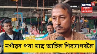 Sivasagar Fish Market  চতুৰ্থ দিনত নগাঁৱৰ পৰা শিৱসাগৰ কেন্দ্ৰীয় বজাৰলৈ আহিল ৫ কুইন্টল মাছ  N18V [upl. by Enna]