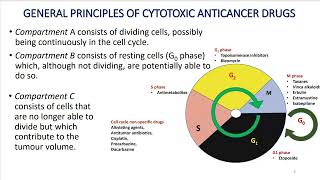 Clinical pharmacology anticancer drugs [upl. by Arelus]