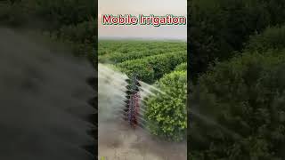 Most Efficient Sprinkers Systems shorts irrigation farming [upl. by Alby]