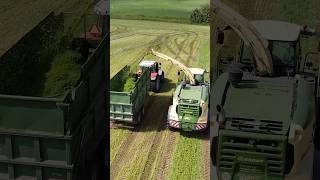 🚜 Krone Combine amp Massey Ferguson Tractor Team Up 🌾 Epic Silage Collection [upl. by Hayden]