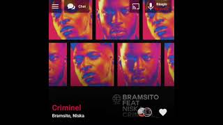 Bramsito Niska  Criminel  Version Skyrock [upl. by Xuaegram]