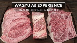 How to cook the WORLDS BEST BEEF  Japanese WAGYU A5 Steak Experience [upl. by Mudenihc]