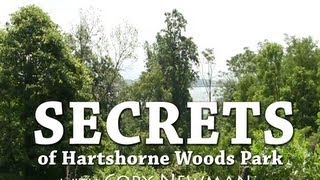 Secrets of Hartshorne Woods Park [upl. by Nehgaem]