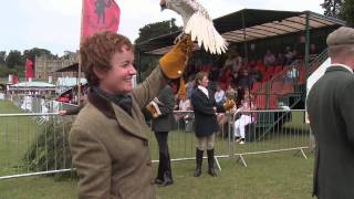 Falconry Our Intangible Cultural Heritage [upl. by Nerraf]