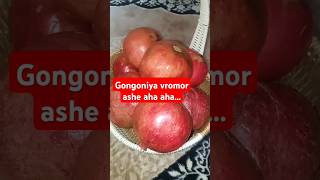 Gongoniye vromor asheshortsvideo shortsviral fannyvideo shorts [upl. by Ahsinrac]