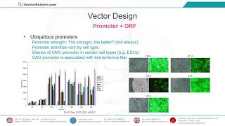 VectorBuilder  From Design to Therapy  Streamline Your Research with VectorBuilder [upl. by Bate]