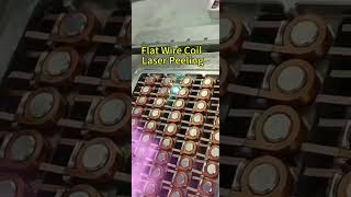 Flat Wire Coil Laser Peeling factory [upl. by Gibbie]