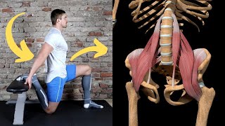 How to FIX Hyperlordosis  Anterior Pelvic Tilt in 5 minutes a day [upl. by Conn]