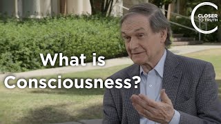 Roger Penrose  What is Consciousness [upl. by Kreda]