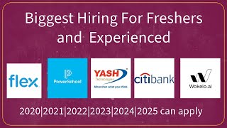 Yash technology  Citi  Power School  Flex  Wokelo 2021 2022  2023  2024 jobs [upl. by Niras]