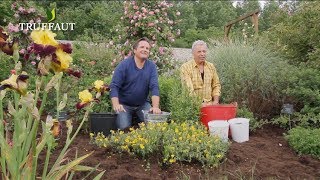 Calendrier du jardinier juin que faire au jardin ou sur la terrasse   Truffaut [upl. by Gniy581]