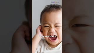 Yellow Fluid from Childs Ear Causes amp Treatment  Dr Sarafudheen PK  Ascent Dubai [upl. by Iraj]