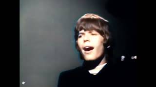 Hermans Hermits  Silhouettes 1969 [upl. by Cirdet632]