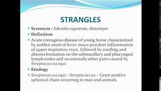 Strangles ppt [upl. by Electra]