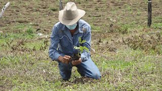 Estelí Se realizo congreso ambiental para conocer los logros alcanzados [upl. by Vickie]