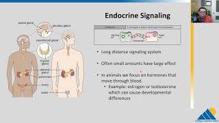 BIOL201 Ch91  Signaling Molecules and Cellular Receptors [upl. by Davena]