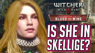 Witcher 3 🌟 Does Vivienne Go to Skellige after Novigrad Blood amp Wine [upl. by Ettennat]