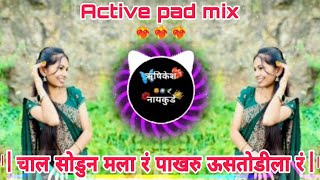 चाल सोडुन मला रं पाखरु ऊसतोडीला रं  Chal Sodun Mla R Pakhru Ustodila R  Active pad mix [upl. by Port858]