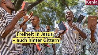 Bibelgruppen im Gefängnis  Bibel Liga [upl. by Fallon187]