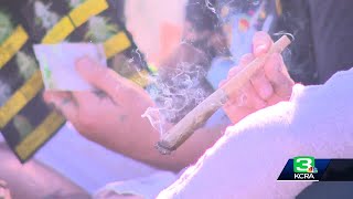 Cannabis Cup draws thousands to Cal Expo [upl. by Diane]