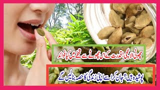 Choti Elaichi Ke Fayde  Cardamom Benefits in urdu  Elaichi سبز الائچی کے فائدے اور طریقہ استعمال [upl. by Sarat]