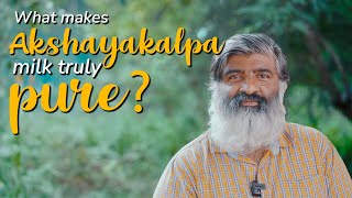 What makes Akshayakalpa milk truly pure  Akshayakalpa organic [upl. by Niple661]