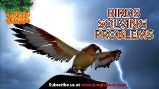 Birds Solving Problems  Jungle Book 2 Cartoon For Kids  Jungle Book Mega Episode  English Stories [upl. by Florian]