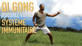 QIGONG RENFORCER SON SYSTÈME IMMUNITAIRE [upl. by Rapsac]