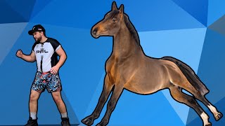 Horse chasing you survival tutorial [upl. by Ykcim]