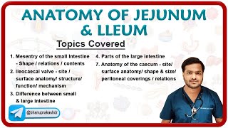 Anatomy of jejunum amp Ileum By Dr Abhijeet [upl. by Rahel]