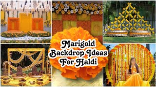 beautiful Marigold backdrop ideas for haldimarigold backdrops for haldihaldi decoration ideas [upl. by Couq75]