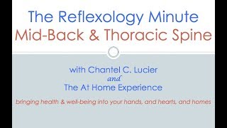 The Reflexology Minute MidBack and Thoracic Spine [upl. by Liatris]