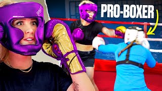 GK Barry fights a PROFESSIONAL Boxer  Great British Adventures 1 [upl. by Adeys]