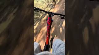 Lake eildon MTB park  Sticks and stones downhill section [upl. by Greenberg268]