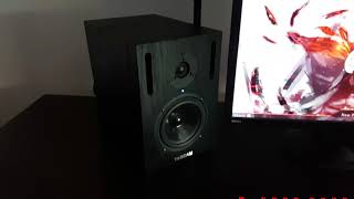 Tascam VLX5 Studio Monitor  quotsound checkquot [upl. by Atirhs]